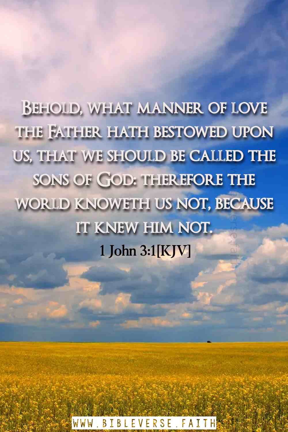 1 john 3 1[kjv] verses about god's love for us