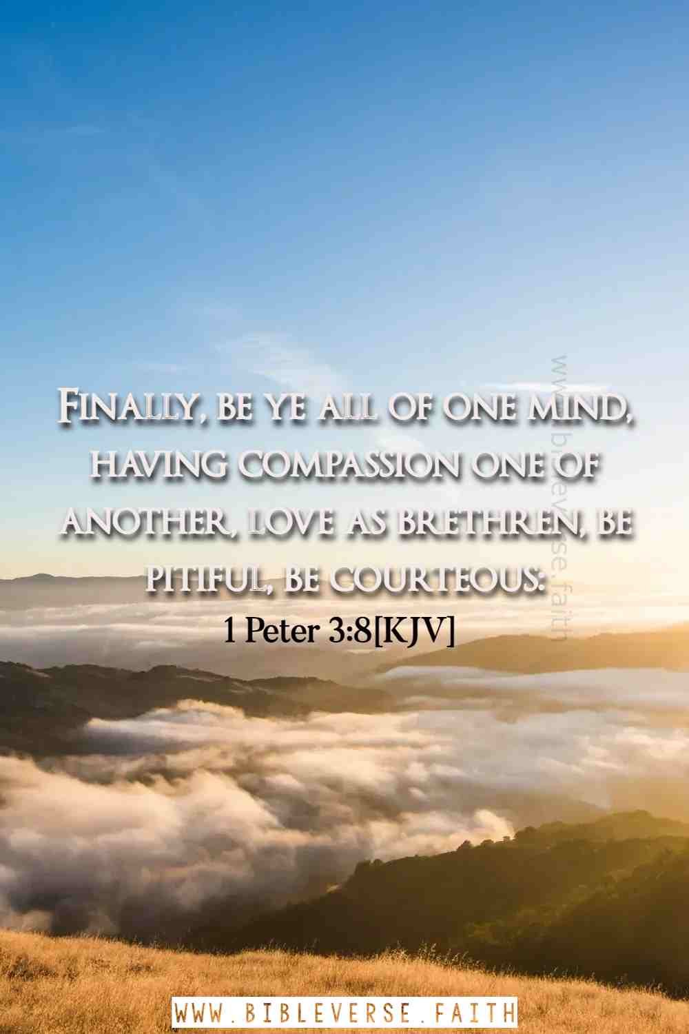 1 peter 3 8[kjv] Bible Verse On Brotherly Love