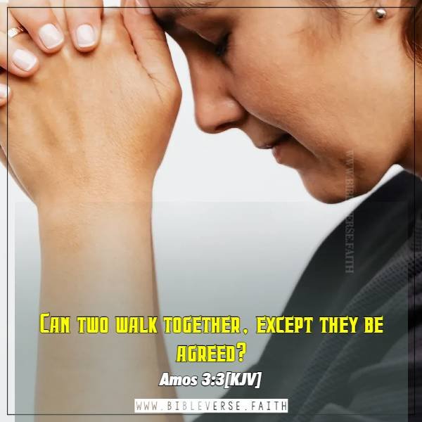 amos 3 3[kjv] walk by faith not by sight bible verse images