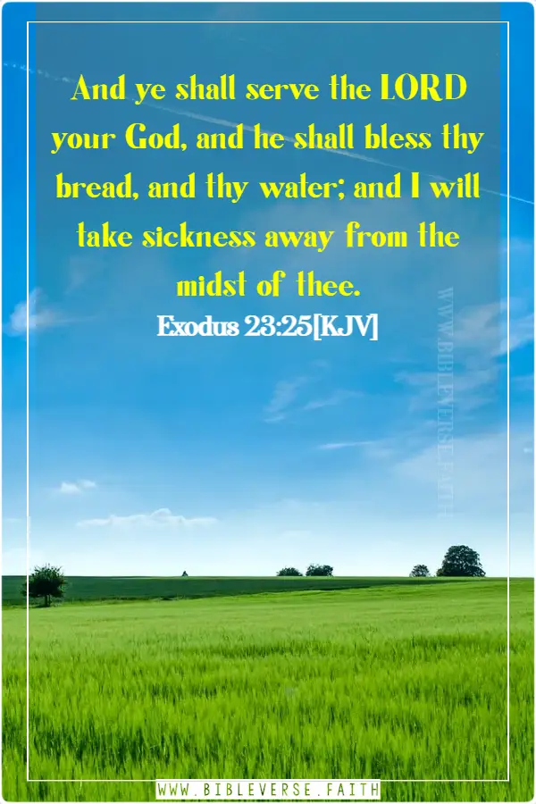 exodus 23 25[kjv] bible verse about healing our land