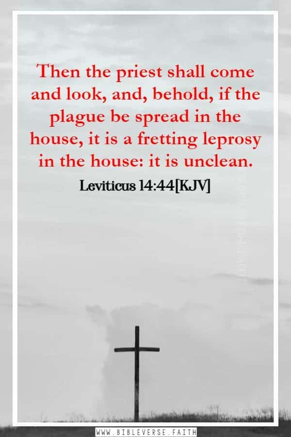 leviticus 14 44[kjv] the leper in the bible