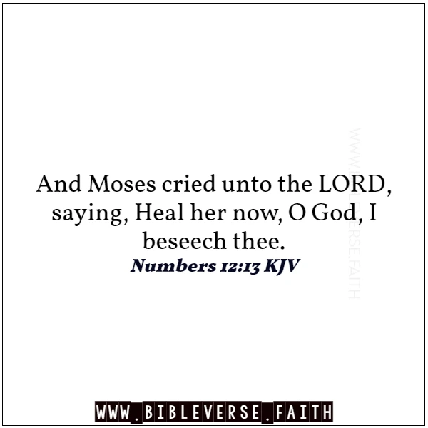 numbers 12 13 kjv bible passages on healing kjv