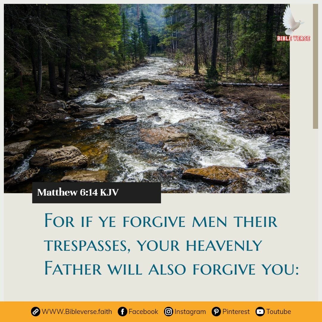 matthew 6 14 kjv bible verses about forgiving others