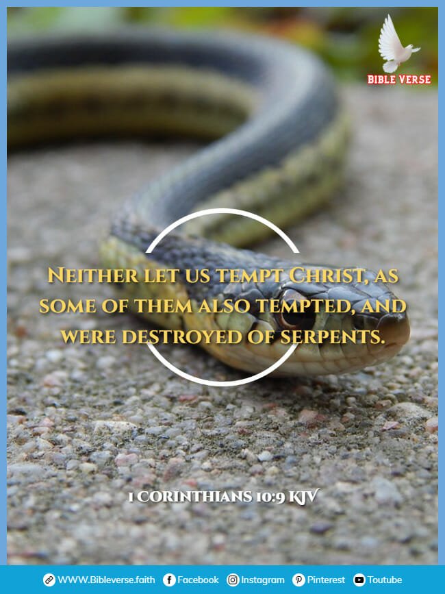 1 corinthians 10 9 kjv animals in the bible verses