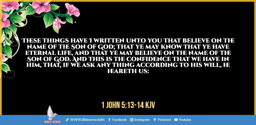 1 john 5 13 14 kjv eternal life in the bible