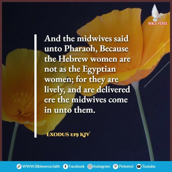 exodus 1 19 kjv bible verses about pregnancy