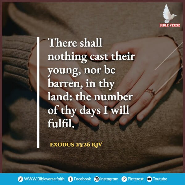 exodus 23 26 kjv bible verses about pregnancy