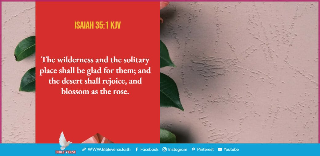 isaiah 35 1 kjv bible verses about flowers