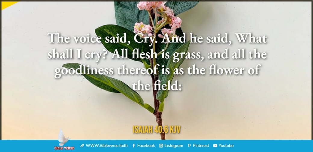 isaiah 40 6 kjv bible verses about flowers