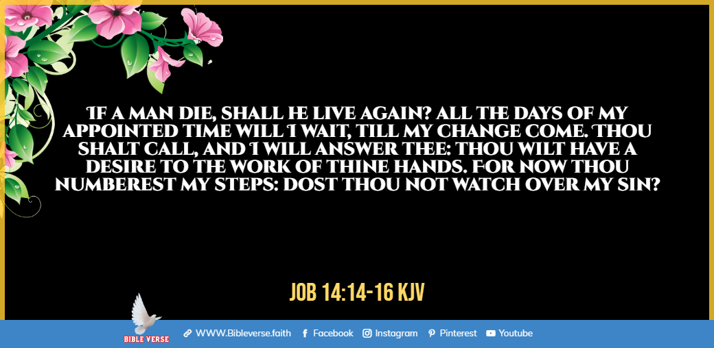job 14 14 16 kjv eternal life in the bible