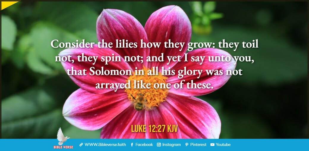 luke 12 27 kjv bible verses about flowers
