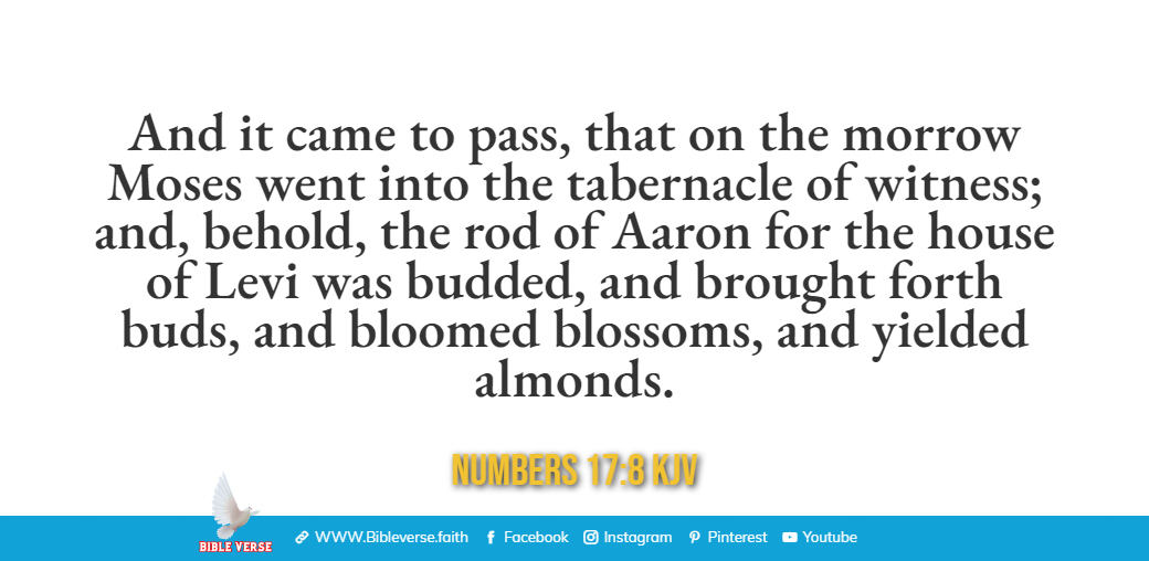 numbers 17 8 kjv bible verses about flowers