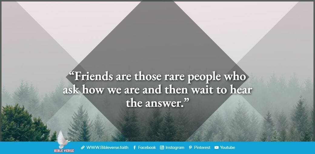 quotes about friendship (53)