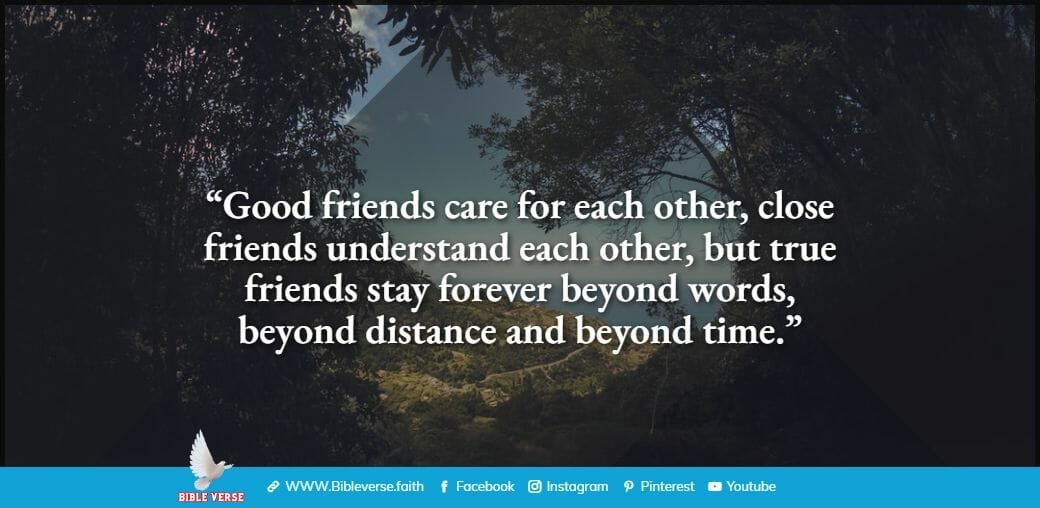quotes about friendship (58)