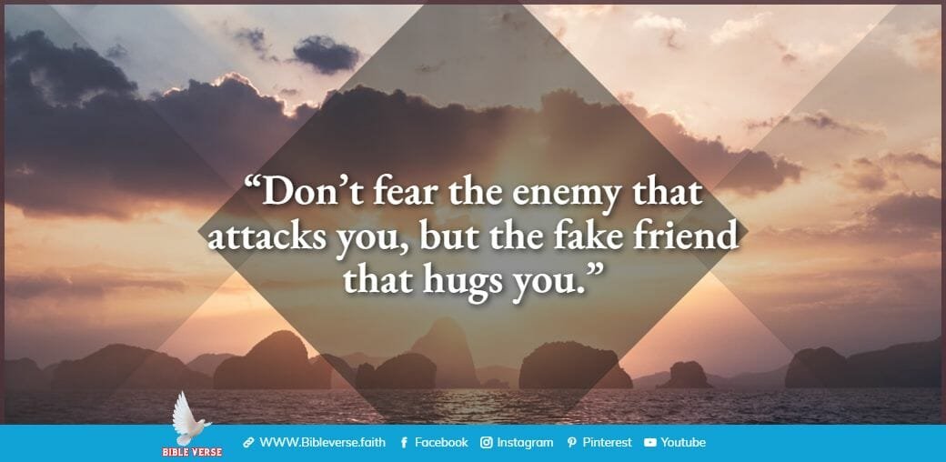 quotes about friendship (9)