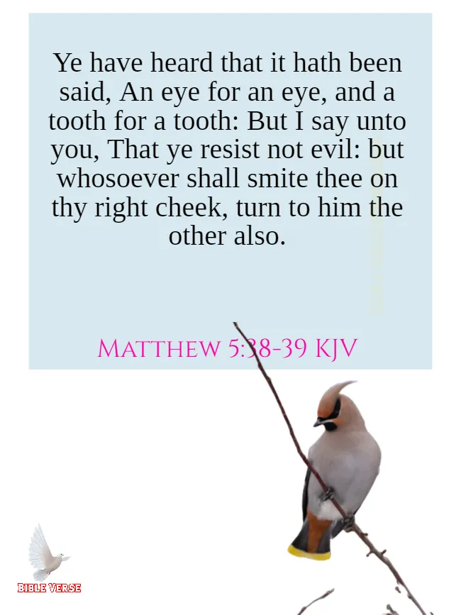 matthew 5 38 39 kjv bible verses about revenge images