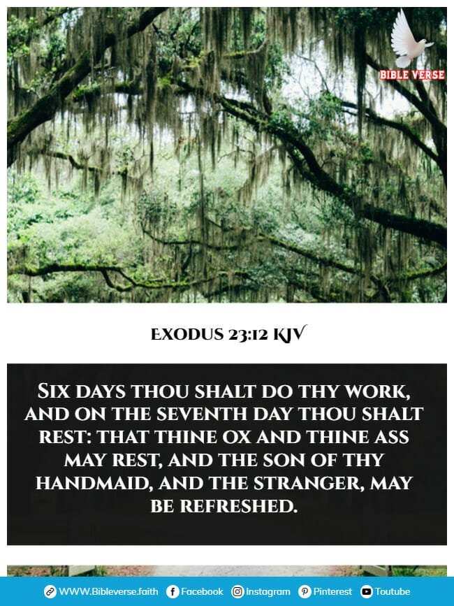 exodus 23 12 kjv bible verses about resting images