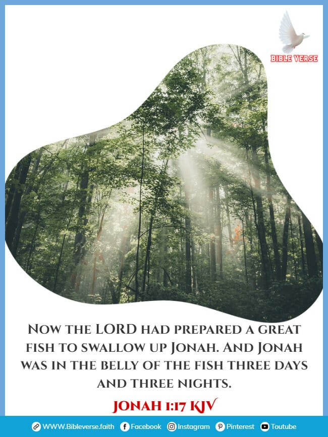 jonah 1 17 kjv bible verse for miracles