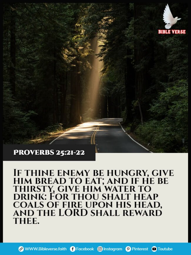 proverbs 25 21 22 bible verses about praying for enemies images